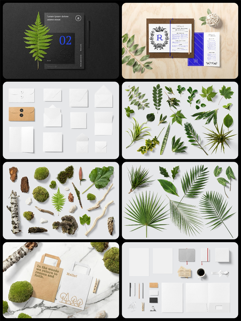 图片[3]-花卉绿色植物主题叶子多肉木棍摆件场景装饰元素PSD源文件PS素材-设计猿