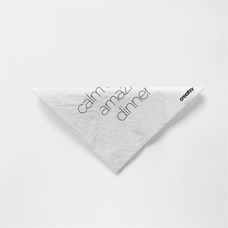 图片[5]-餐巾纸餐厅纸巾VI设计提案品牌展示智能贴图文创样机PSD模板素材-设计猿