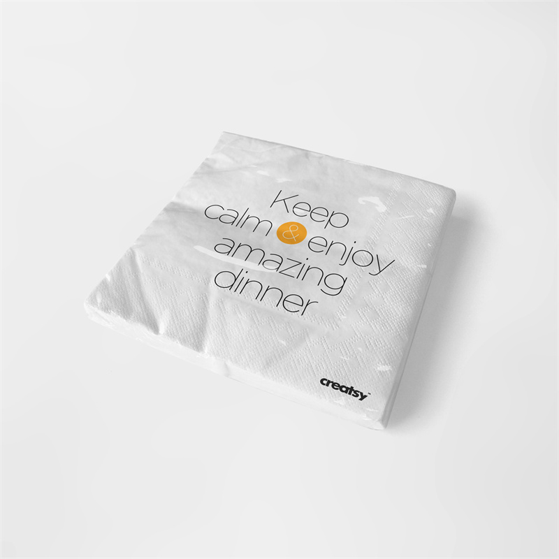 图片[10]-餐巾纸餐厅纸巾VI设计提案品牌展示智能贴图文创样机PSD模板素材-设计猿