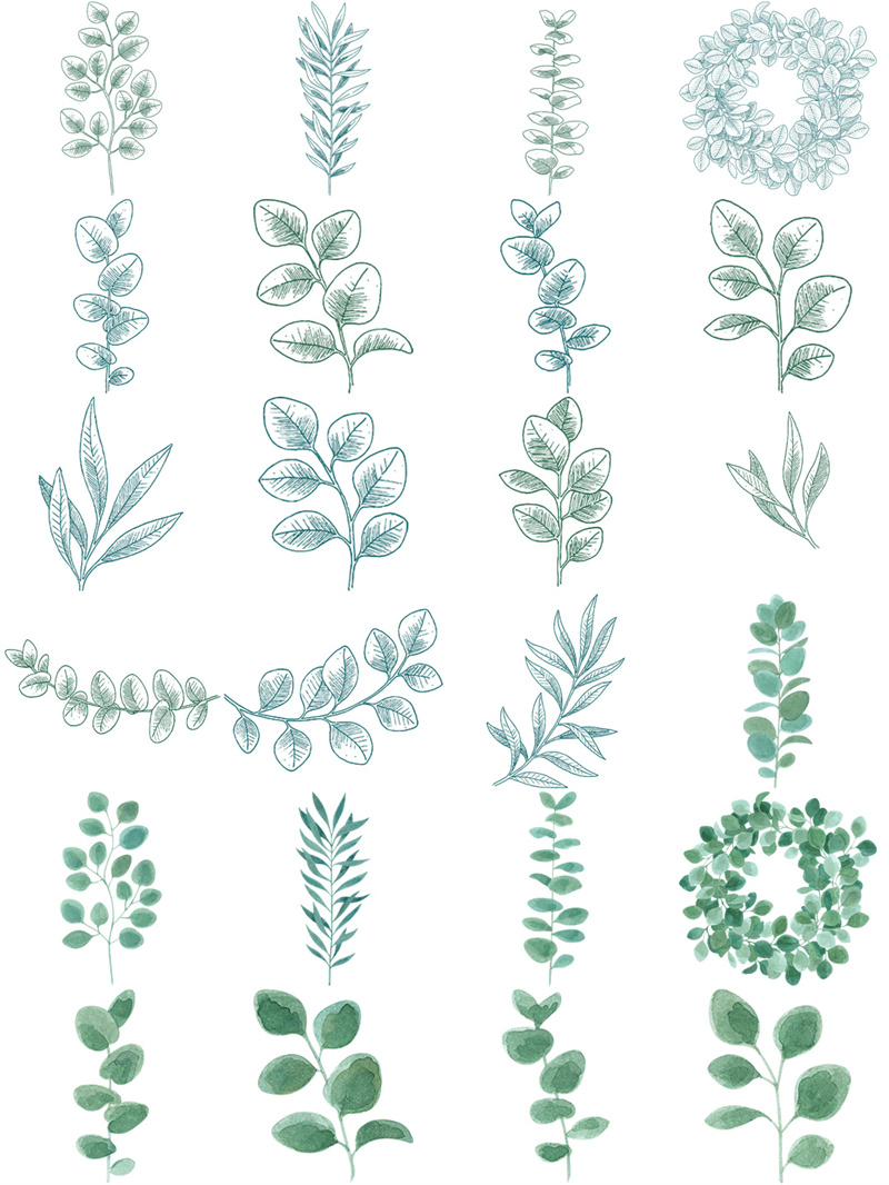 图片[1]-唯美森系绿色植物树叶手绘水彩线稿边框海报AI矢量PNG免扣PS素材-设计猿