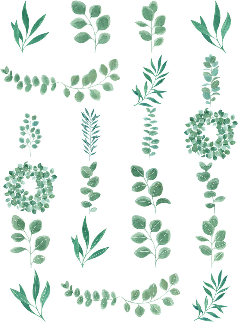 图片[2]-唯美森系绿色植物树叶手绘水彩线稿边框海报AI矢量PNG免扣PS素材-设计猿