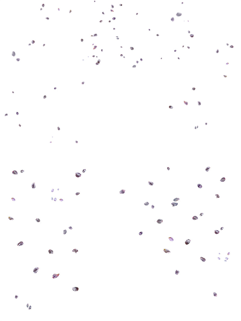 图片[4]-高清粉色山茶花花瓣飞散花朵绽放花苞溶图叶子免抠PNG图片PS素材-设计猿