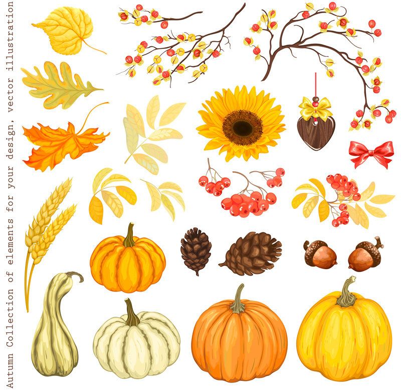 图片[1]-秋天丰收季节金黄色小鸟南瓜花朵果实AI矢量卡通插画风格设计素材-设计猿