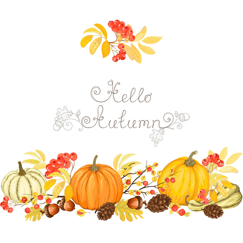 图片[2]-秋天丰收季节金黄色小鸟南瓜花朵果实AI矢量卡通插画风格设计素材-设计猿