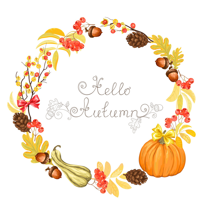 图片[3]-秋天丰收季节金黄色小鸟南瓜花朵果实AI矢量卡通插画风格设计素材-设计猿