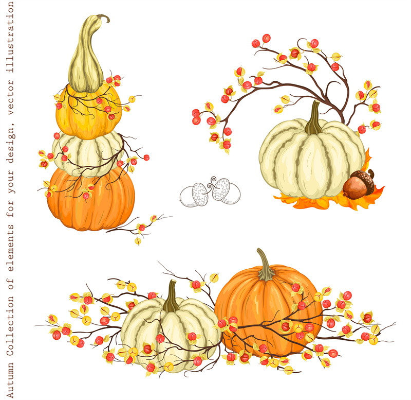 图片[4]-秋天丰收季节金黄色小鸟南瓜花朵果实AI矢量卡通插画风格设计素材-设计猿