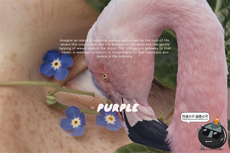 图片[5]-复古超现实主义抽象艺术度假剪纸拼贴手账PNG免抠图片美工素材-设计猿