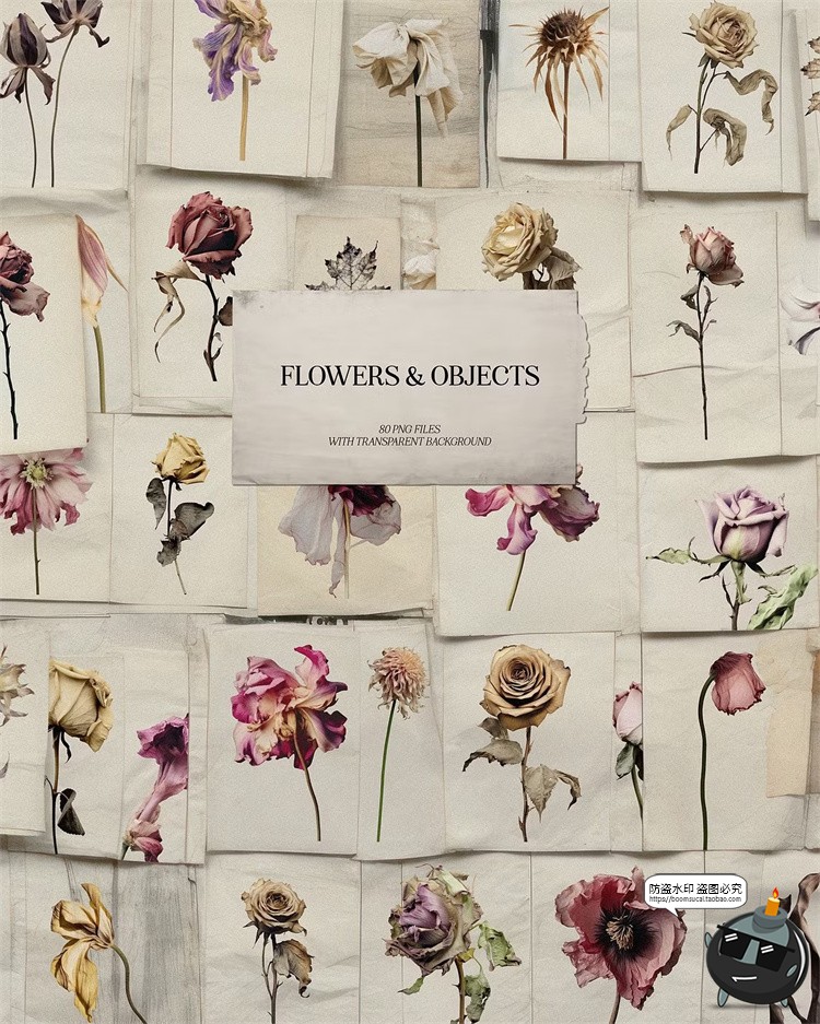 图片[2]-优雅复古时尚植物花卉生活美学抽象艺术混合拼贴PNG免抠图片素材-设计猿