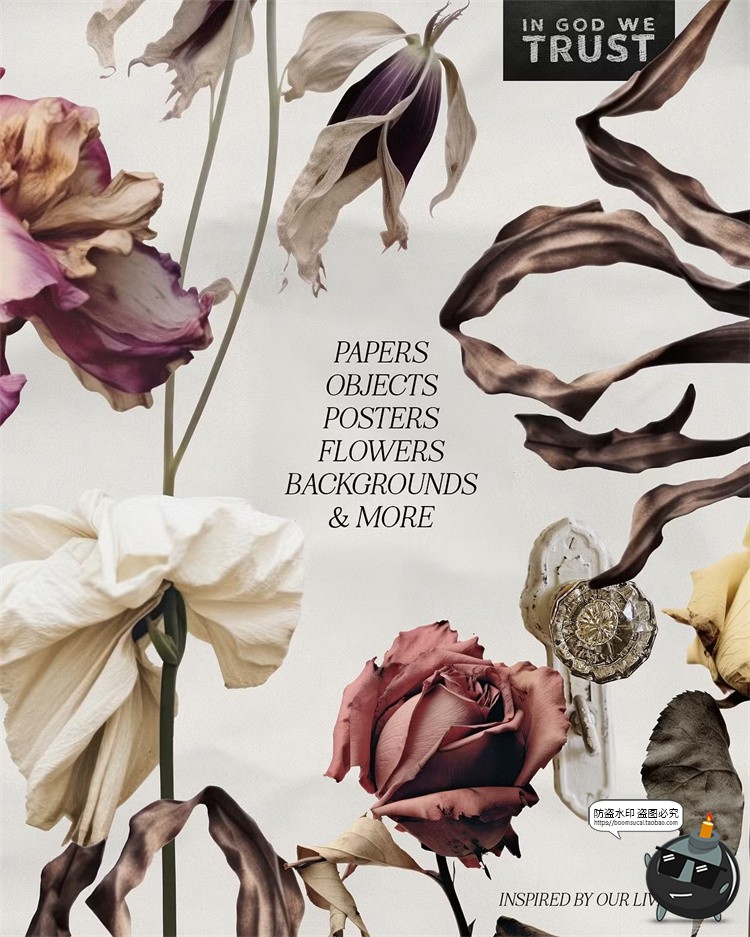 图片[8]-优雅复古时尚植物花卉生活美学抽象艺术混合拼贴PNG免抠图片素材-设计猿