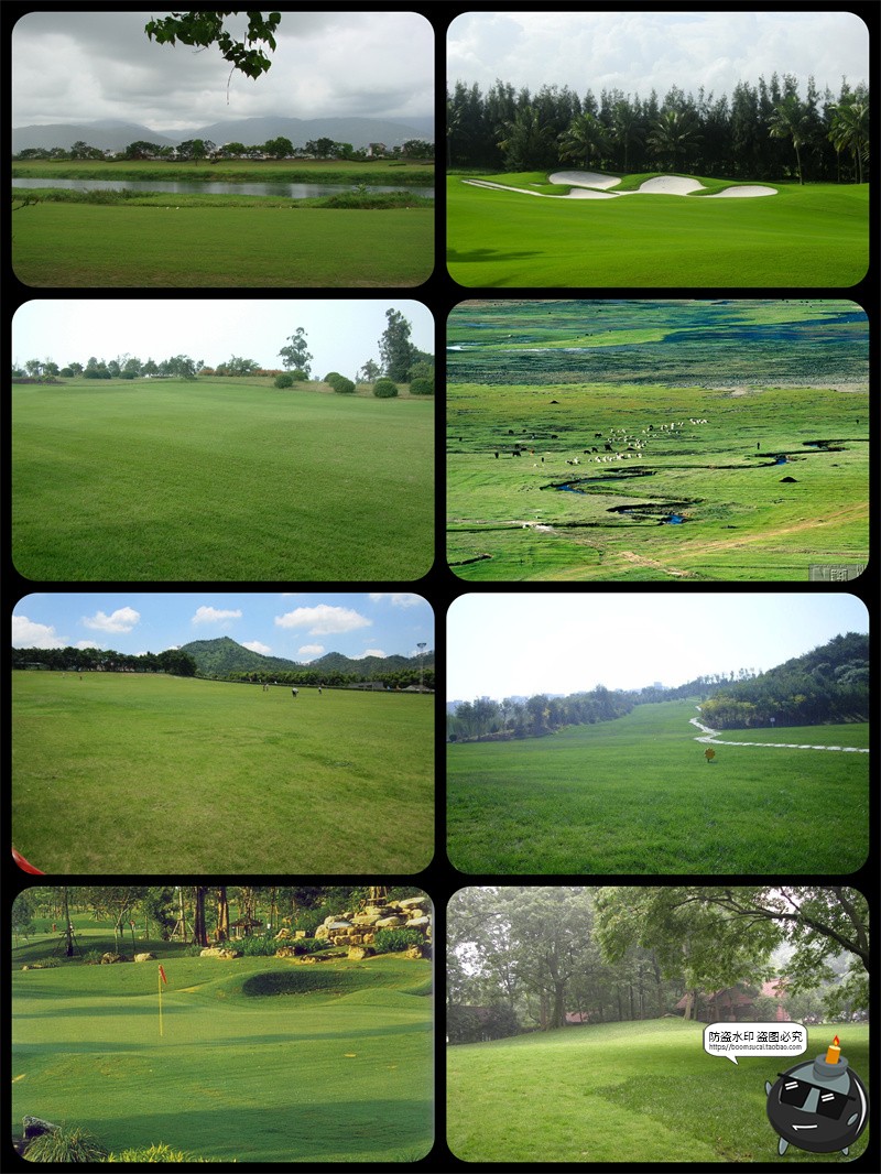 图片[11]-真实高清草坪草地草丛外景婚礼婚纱修图后期背景合成JPG图片素材-设计猿