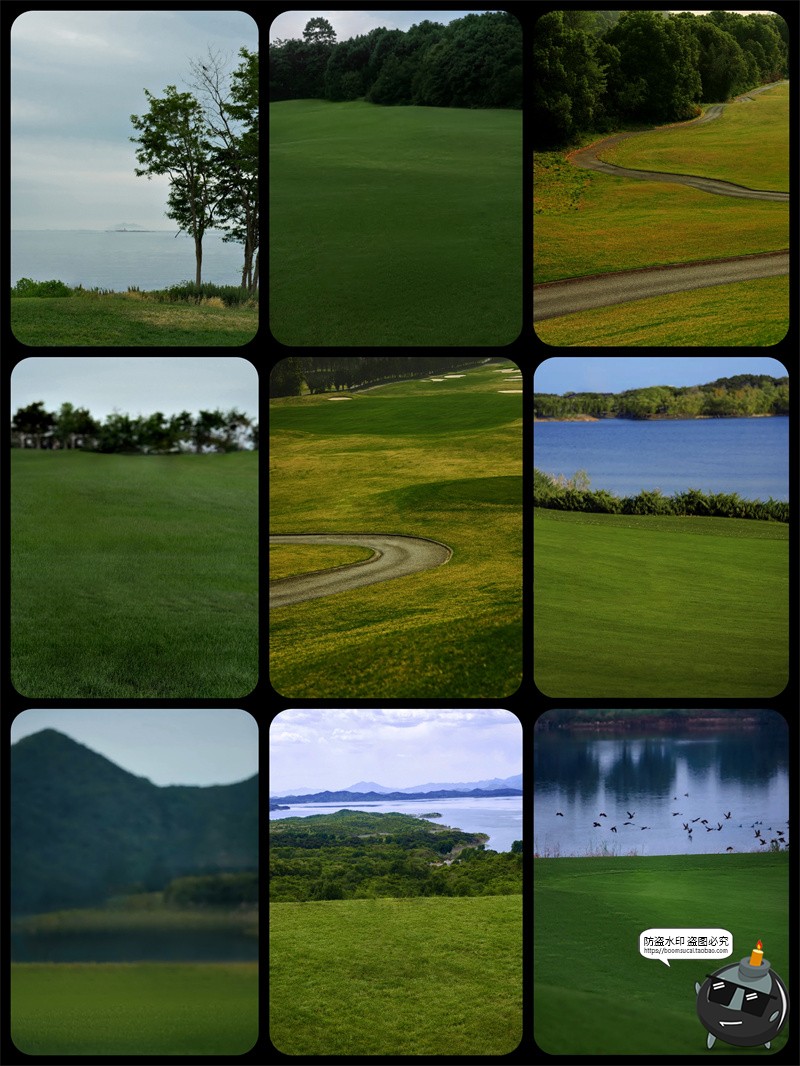 图片[13]-真实高清草坪草地草丛外景婚礼婚纱修图后期背景合成JPG图片素材-设计猿