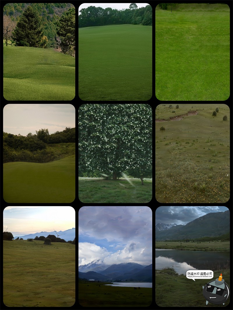 图片[15]-真实高清草坪草地草丛外景婚礼婚纱修图后期背景合成JPG图片素材-设计猿