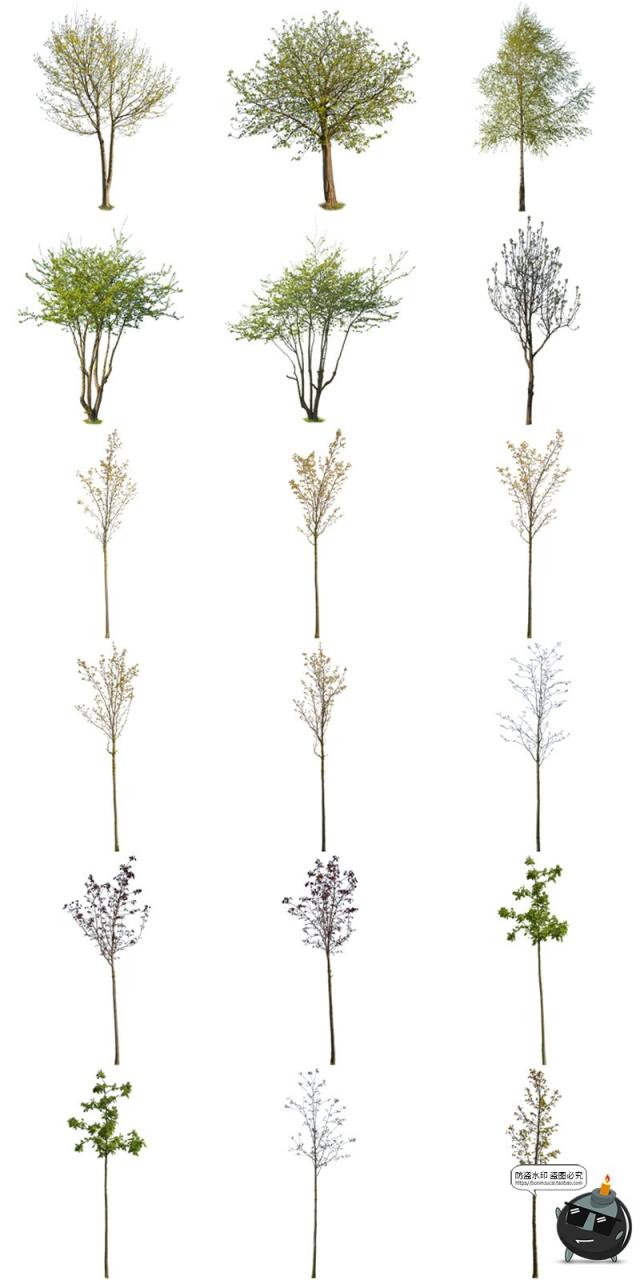 图片[5]-春季夏季绿意盎然树木绿植大树干园林景观装饰元素PNG免抠图素材-设计猿