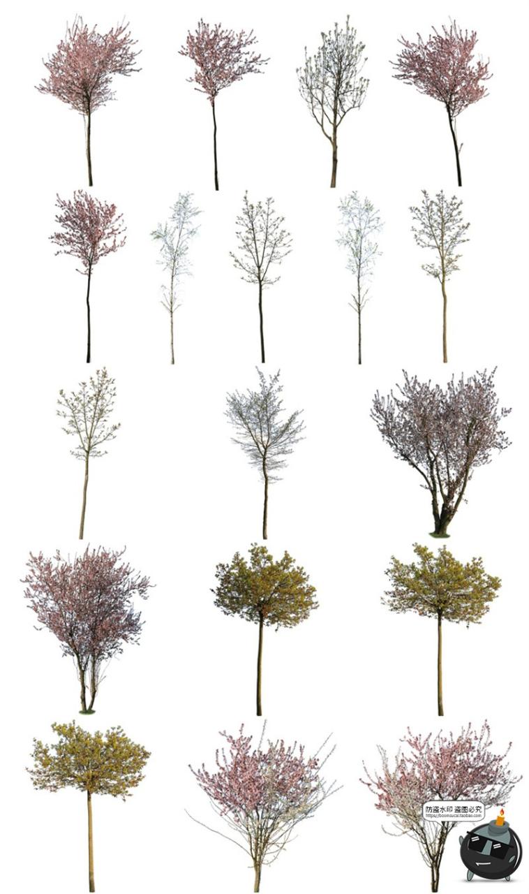 图片[6]-春季夏季绿意盎然树木绿植大树干园林景观装饰元素PNG免抠图素材-设计猿