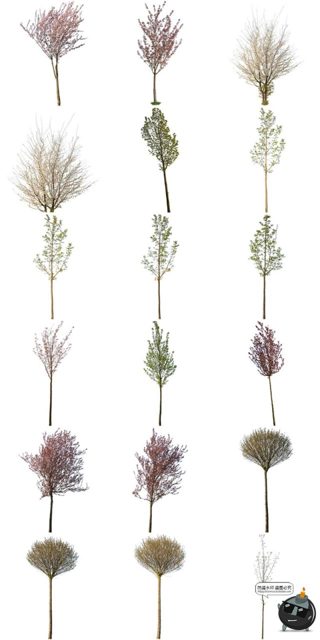 图片[7]-春季夏季绿意盎然树木绿植大树干园林景观装饰元素PNG免抠图素材-设计猿