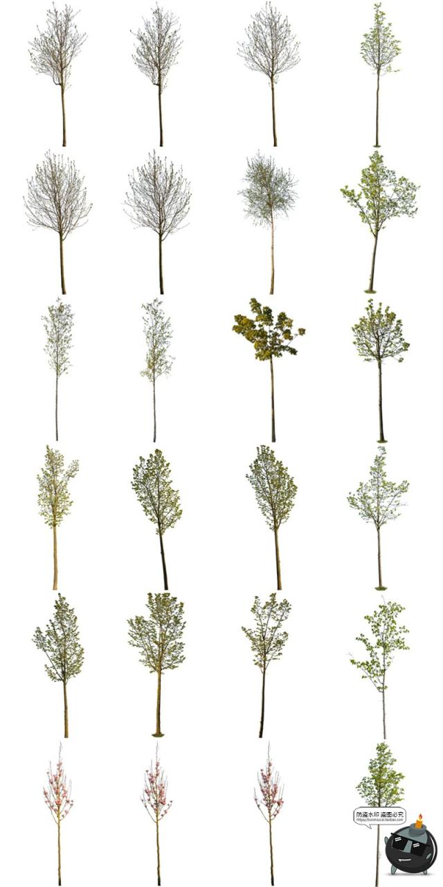 图片[8]-春季夏季绿意盎然树木绿植大树干园林景观装饰元素PNG免抠图素材-设计猿