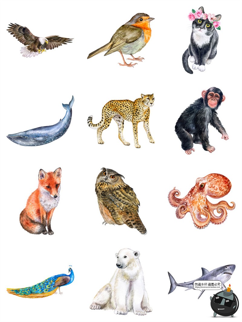 图片[1]-手绘水彩宠物猫狗鸟类熊猫大象野生动物插画AI矢量图PNG免抠素材-设计猿