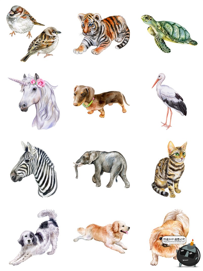 图片[2]-手绘水彩宠物猫狗鸟类熊猫大象野生动物插画AI矢量图PNG免抠素材-设计猿