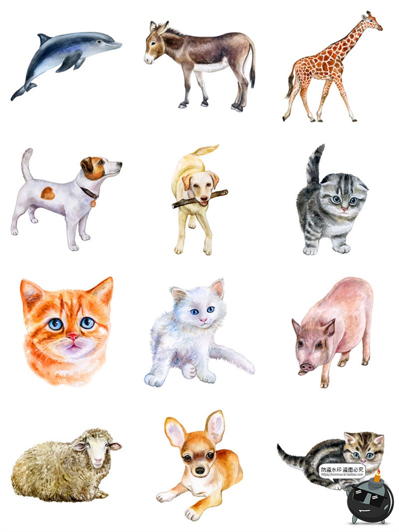 图片[3]-手绘水彩宠物猫狗鸟类熊猫大象野生动物插画AI矢量图PNG免抠素材-设计猿