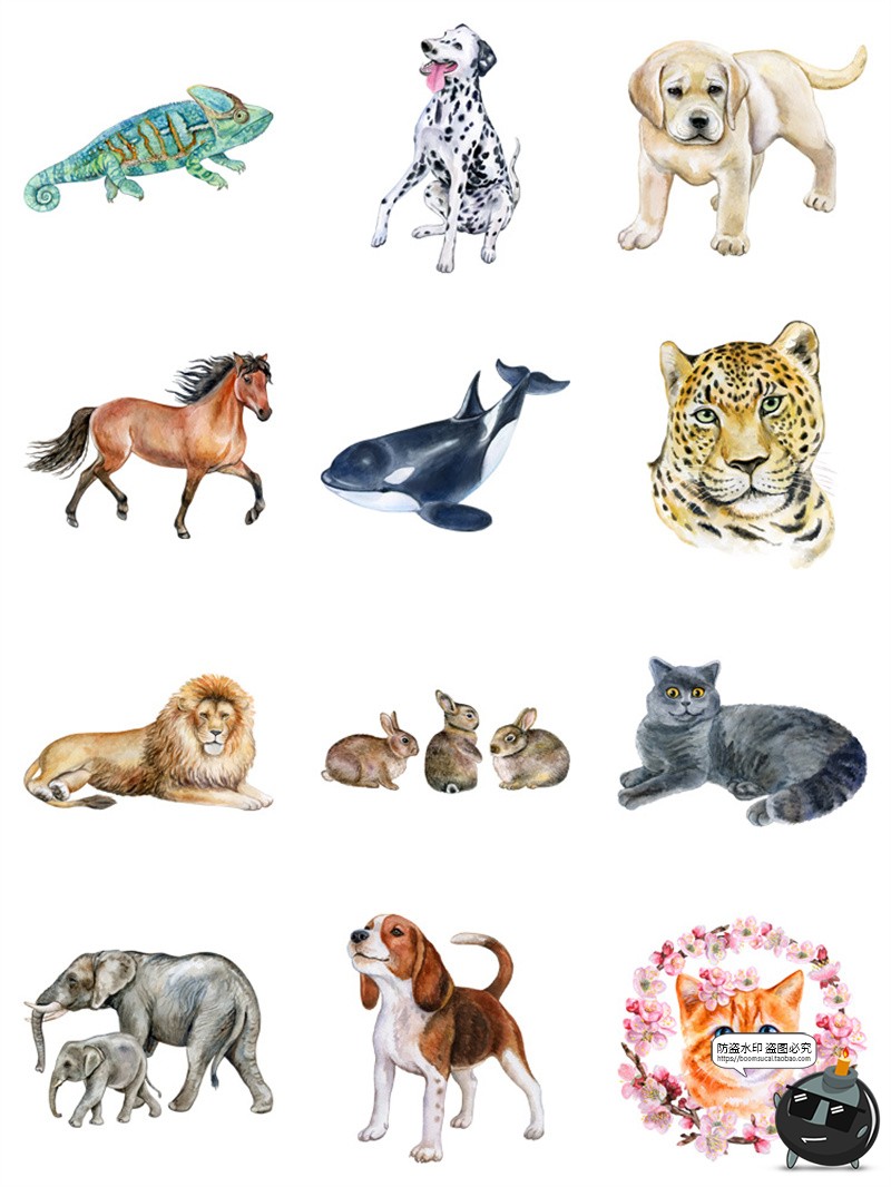 图片[4]-手绘水彩宠物猫狗鸟类熊猫大象野生动物插画AI矢量图PNG免抠素材-设计猿