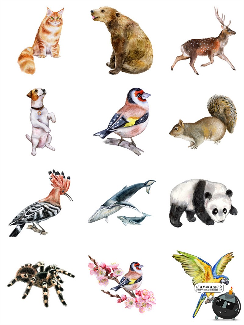 图片[5]-手绘水彩宠物猫狗鸟类熊猫大象野生动物插画AI矢量图PNG免抠素材-设计猿