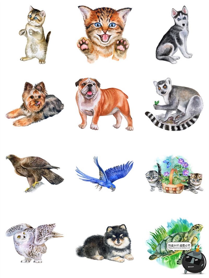 图片[6]-手绘水彩宠物猫狗鸟类熊猫大象野生动物插画AI矢量图PNG免抠素材-设计猿