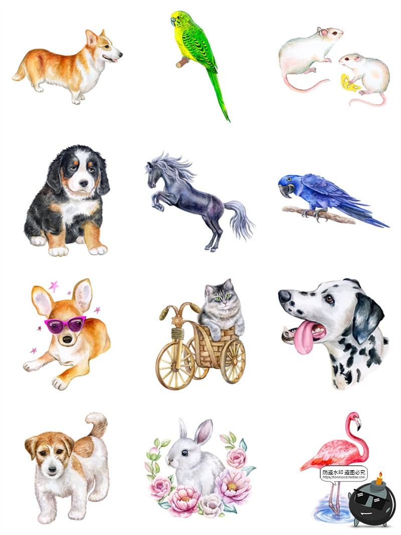 图片[7]-手绘水彩宠物猫狗鸟类熊猫大象野生动物插画AI矢量图PNG免抠素材-设计猿