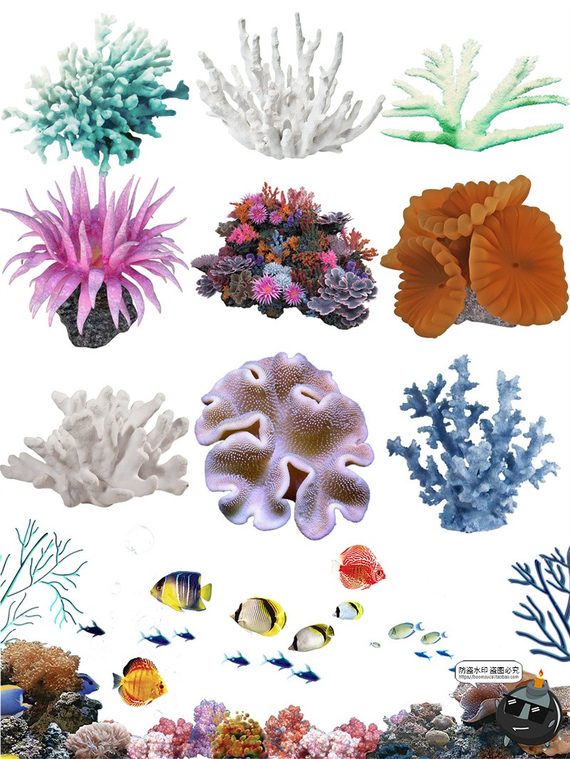 图片[3]-高清海底海洋珊瑚水草石头手账后期合成元素装饰图案PNG免抠素材-设计猿