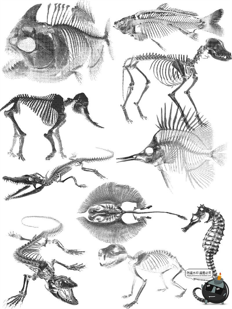 图片[1]-暗黑风像素动物骨骼骨架复古化石特效装饰手账贴纸PNG免抠素材图-设计猿