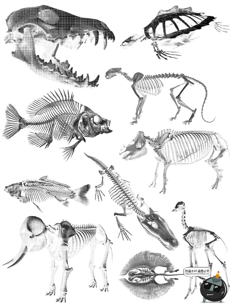 图片[2]-暗黑风像素动物骨骼骨架复古化石特效装饰手账贴纸PNG免抠素材图-设计猿