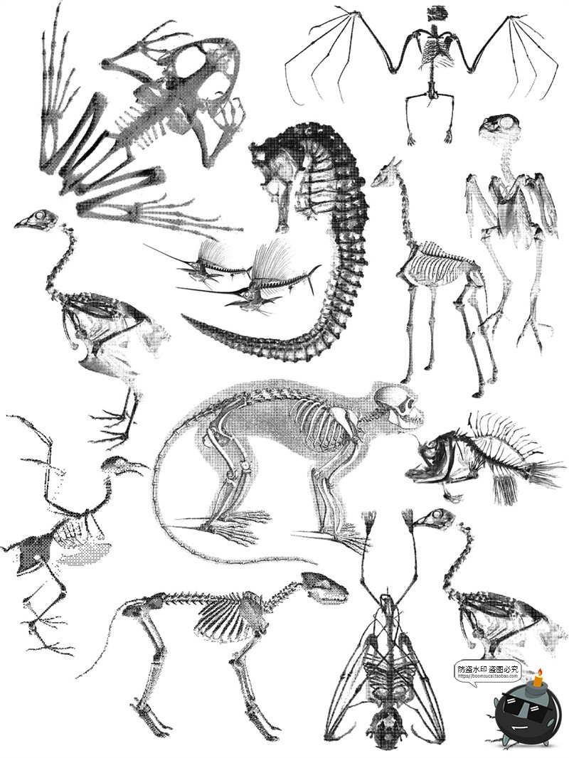 图片[4]-暗黑风像素动物骨骼骨架复古化石特效装饰手账贴纸PNG免抠素材图-设计猿