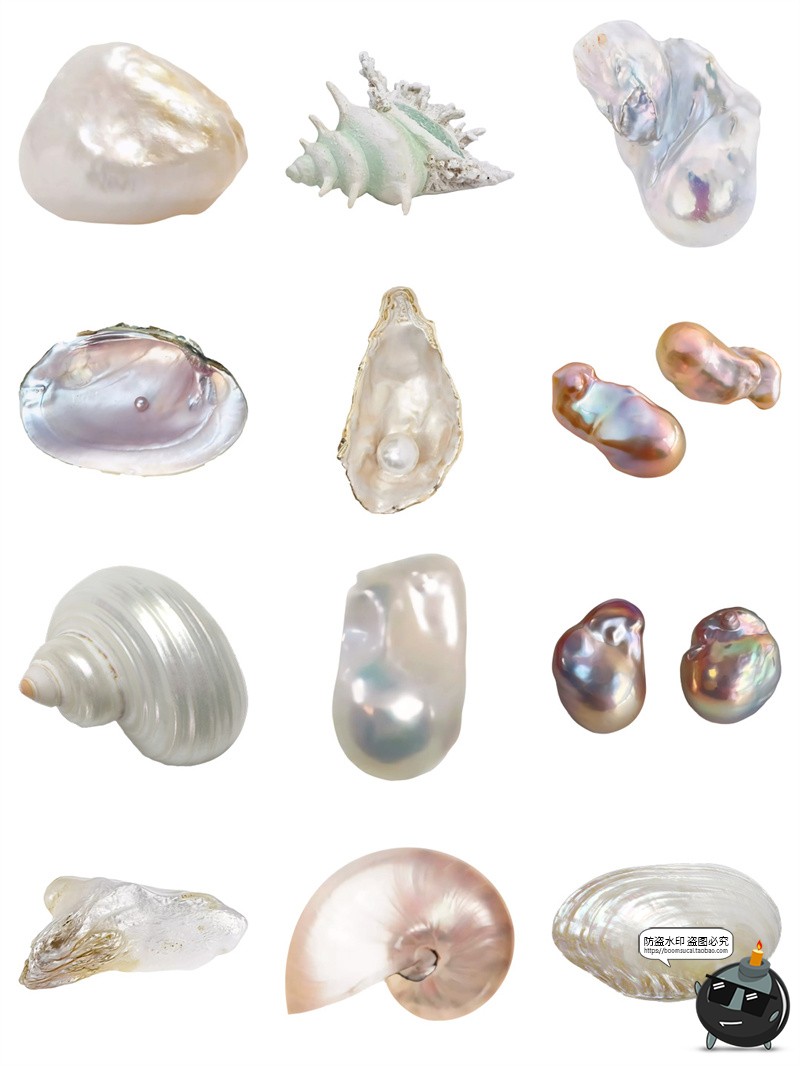 图片[4]-珍珠贝壳扇贝珠光钙化海螺异形贝类珠宝海报元素手帐PNG免抠素材-设计猿