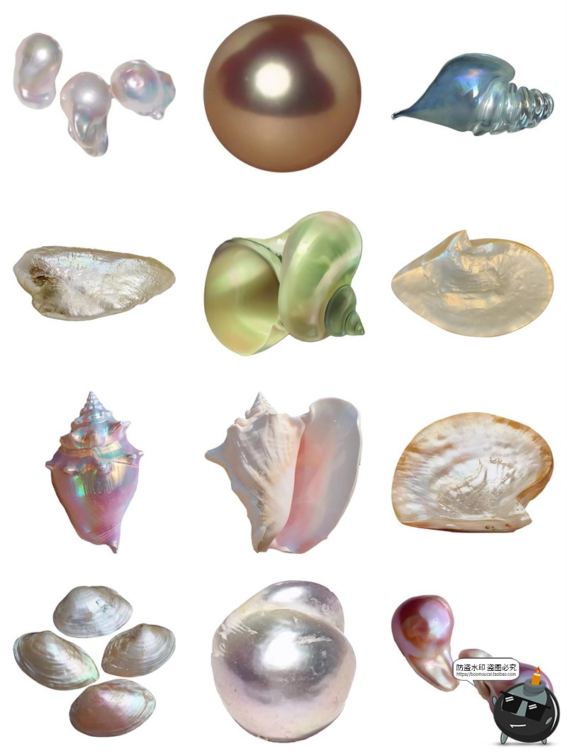 图片[5]-珍珠贝壳扇贝珠光钙化海螺异形贝类珠宝海报元素手帐PNG免抠素材-设计猿
