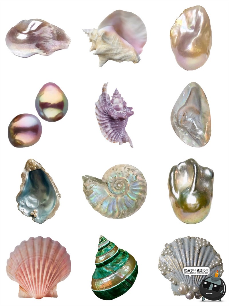 图片[6]-珍珠贝壳扇贝珠光钙化海螺异形贝类珠宝海报元素手帐PNG免抠素材-设计猿