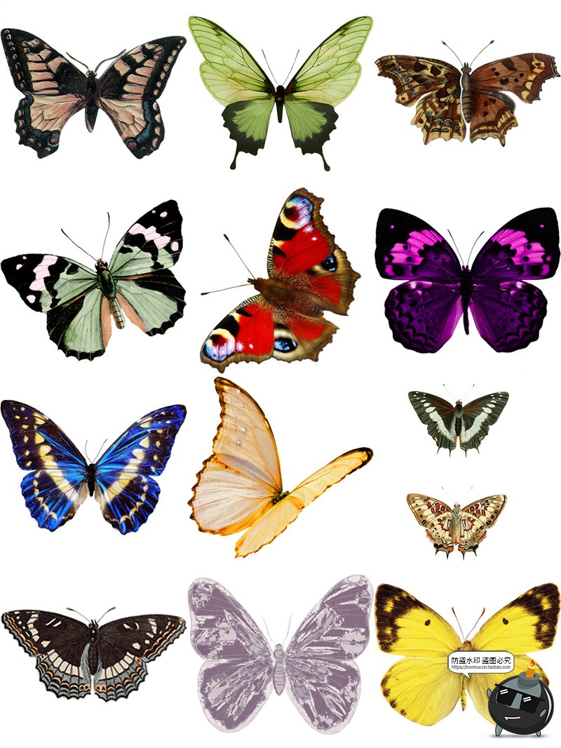 图片[3]-复古彩色蝴蝶翅膀飞舞装饰手账透明背景美工后期合成PNG免抠素材-设计猿