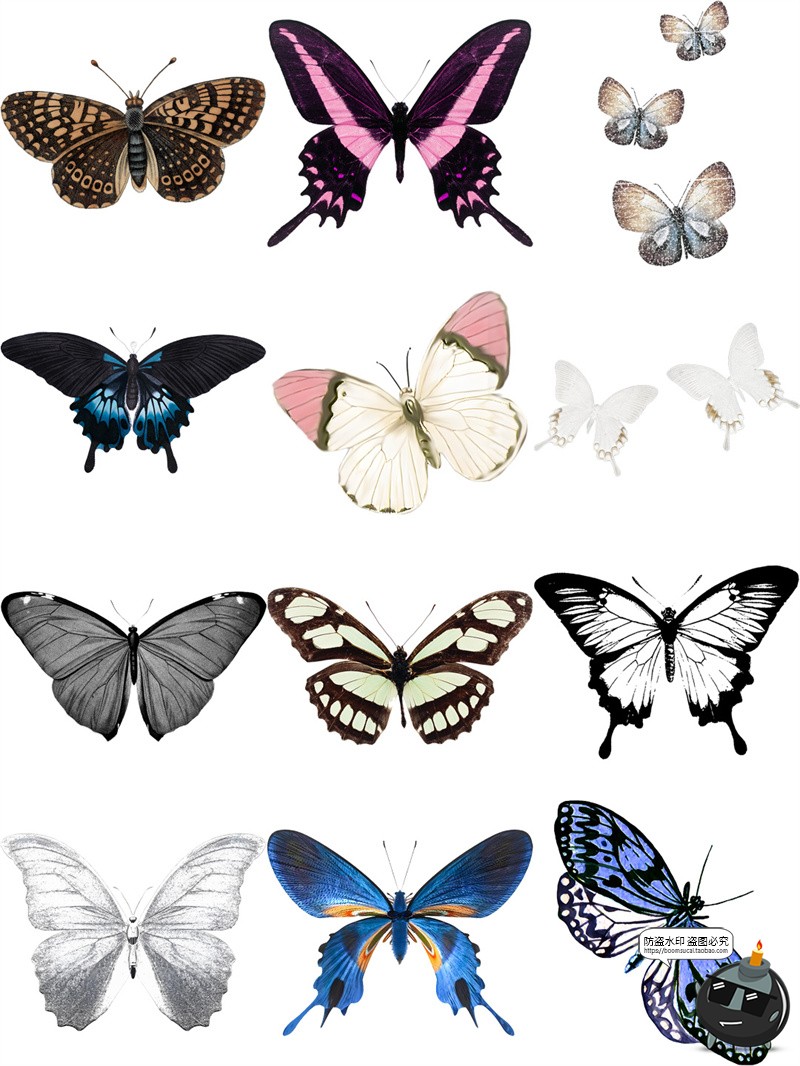 图片[4]-复古彩色蝴蝶翅膀飞舞装饰手账透明背景美工后期合成PNG免抠素材-设计猿