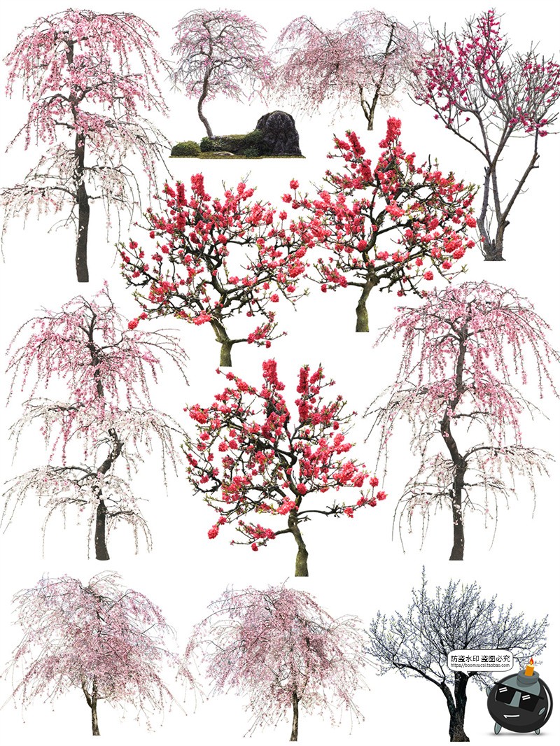 图片[1]-梅花树园林景观樱花飘落花瓣场景街景道路平面装饰PNG免抠PSD素材-设计猿