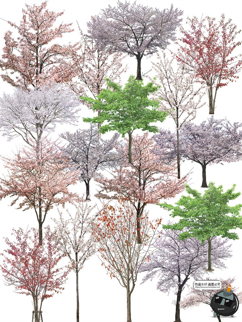 图片[2]-梅花树园林景观樱花飘落花瓣场景街景道路平面装饰PNG免抠PSD素材-设计猿