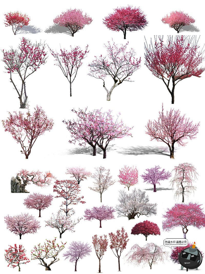 图片[3]-梅花树园林景观樱花飘落花瓣场景街景道路平面装饰PNG免抠PSD素材-设计猿