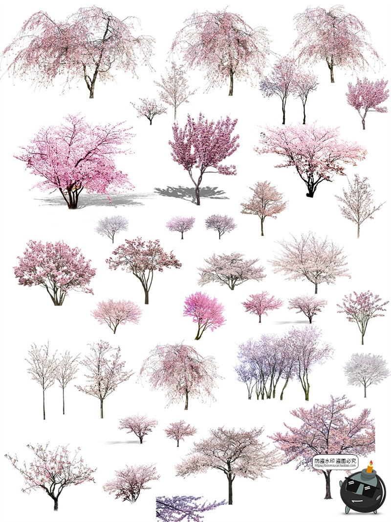 图片[4]-梅花树园林景观樱花飘落花瓣场景街景道路平面装饰PNG免抠PSD素材-设计猿