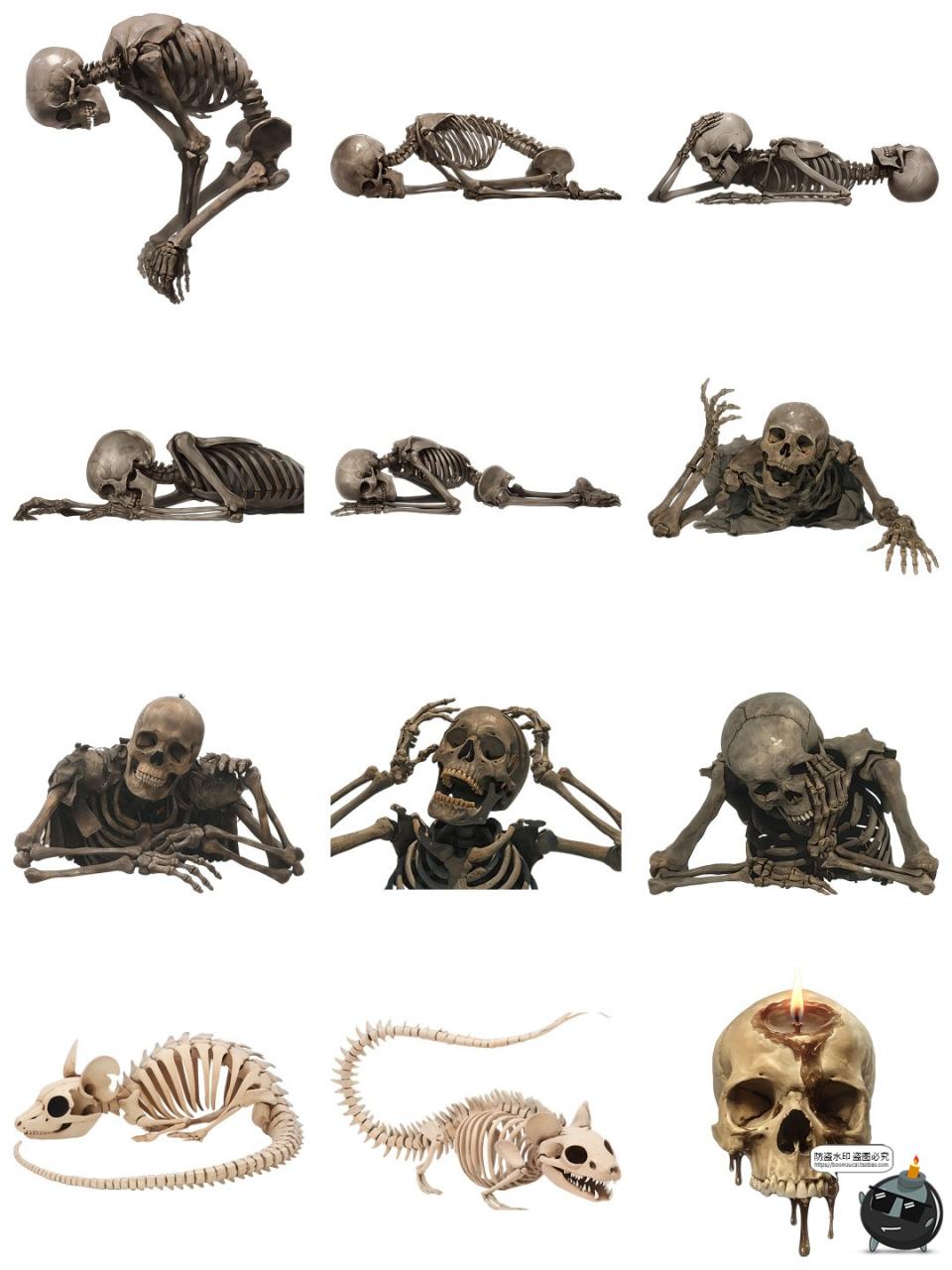 图片[3]-暗黑生物异形外星人物骸骨躯干骷髅标本装饰元素PNG免抠素材图片-设计猿