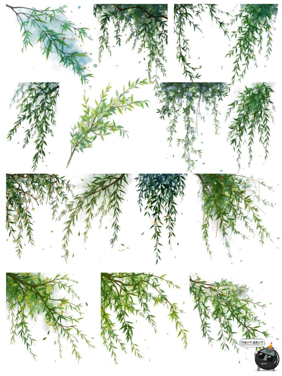 图片[2]-翠绿诗意柳枝柳叶树枝美工海报透明背景装饰元素PNG免抠手账素材-设计猿