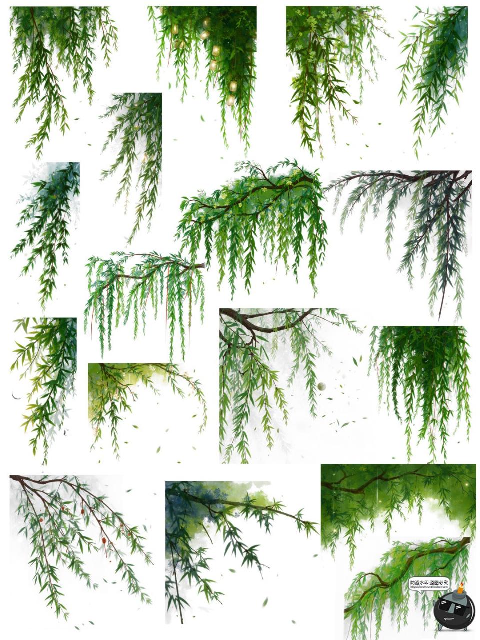 图片[3]-翠绿诗意柳枝柳叶树枝美工海报透明背景装饰元素PNG免抠手账素材-设计猿