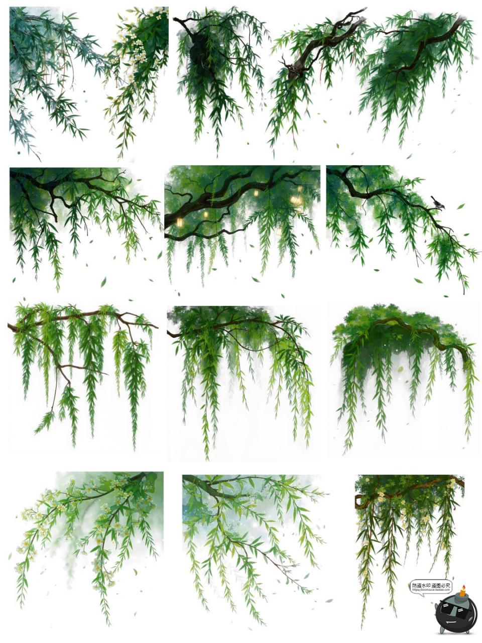 图片[5]-翠绿诗意柳枝柳叶树枝美工海报透明背景装饰元素PNG免抠手账素材-设计猿