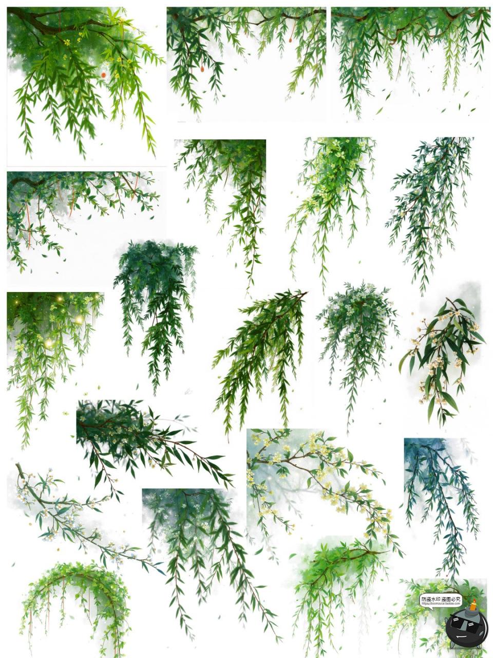 图片[7]-翠绿诗意柳枝柳叶树枝美工海报透明背景装饰元素PNG免抠手账素材-设计猿