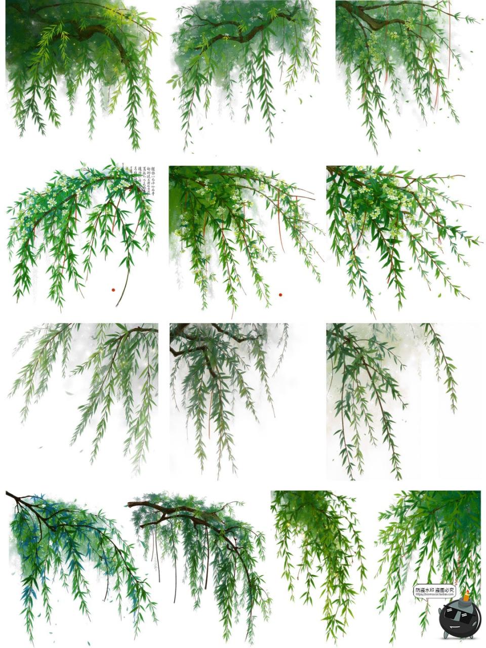 图片[8]-翠绿诗意柳枝柳叶树枝美工海报透明背景装饰元素PNG免抠手账素材-设计猿