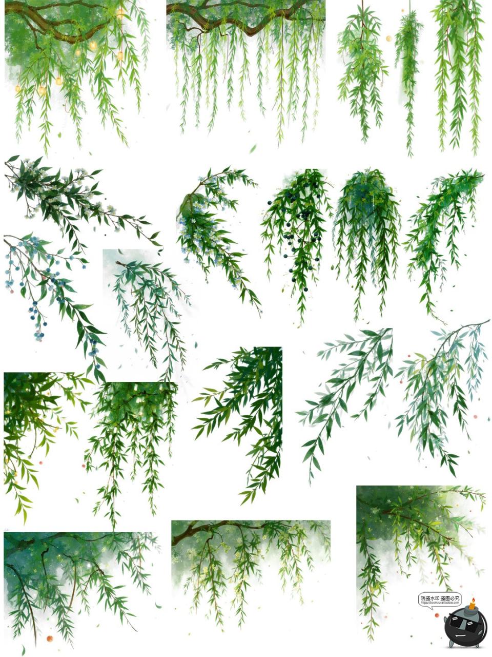 图片[9]-翠绿诗意柳枝柳叶树枝美工海报透明背景装饰元素PNG免抠手账素材-设计猿