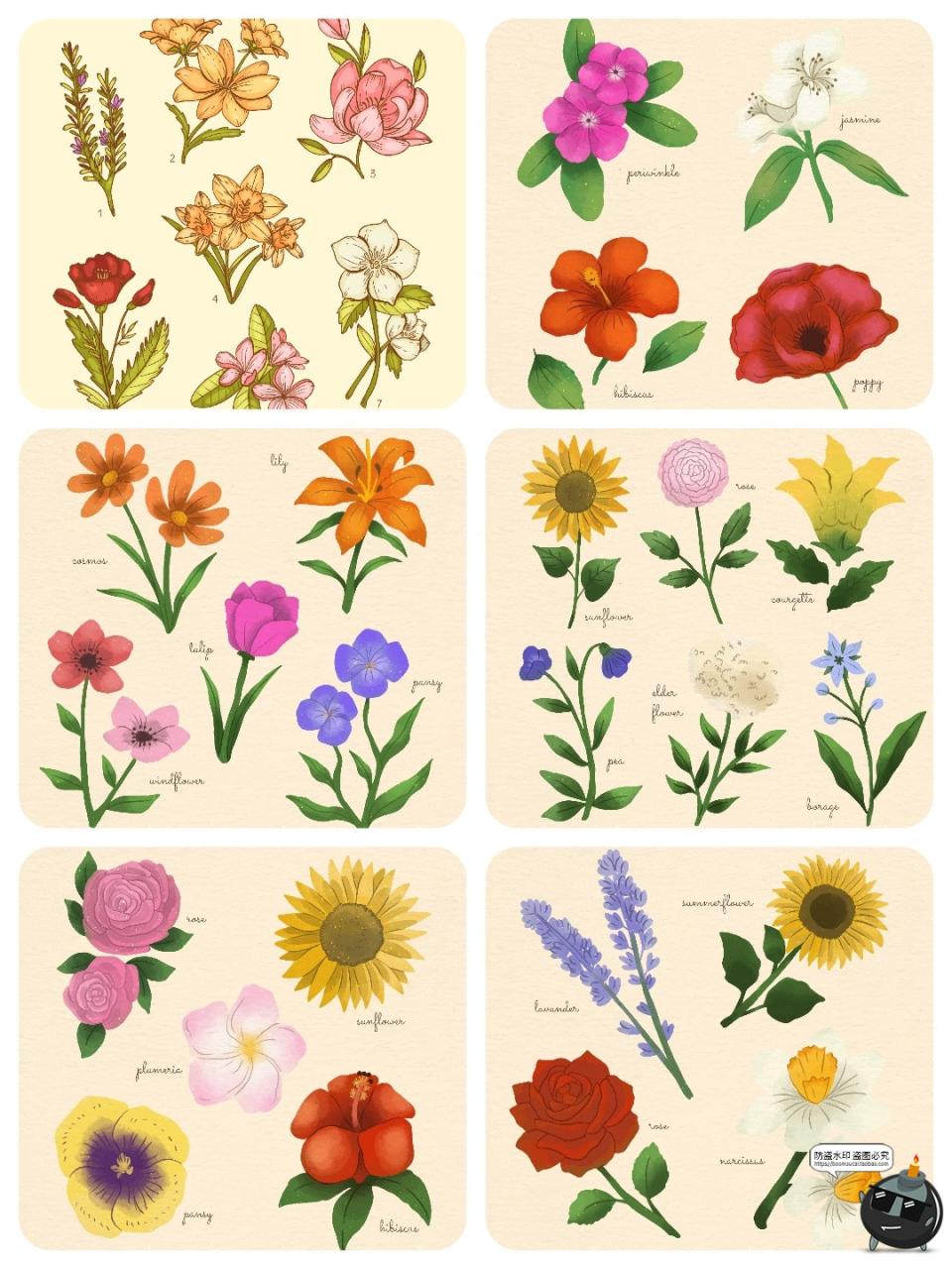 图片[1]-水彩森系手绘植物花卉叶子花枝花草鲜花野花插画图案AI矢量图素材-设计猿