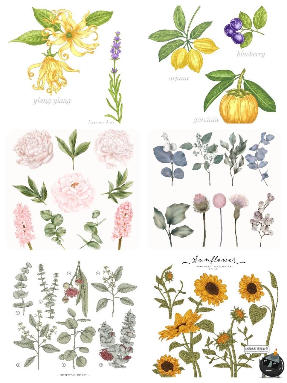 图片[2]-水彩森系手绘植物花卉叶子花枝花草鲜花野花插画图案AI矢量图素材-设计猿