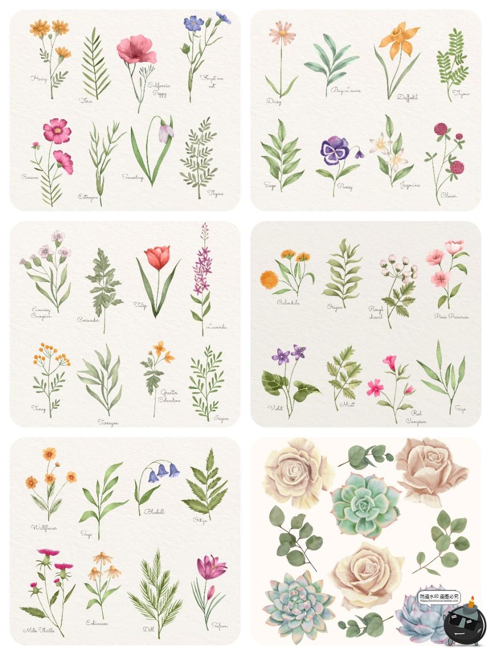 图片[3]-水彩森系手绘植物花卉叶子花枝花草鲜花野花插画图案AI矢量图素材-设计猿